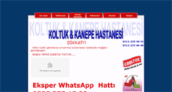 Desktop Screenshot of koltukkanepehastanesi.com