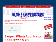 Tablet Screenshot of koltukkanepehastanesi.com